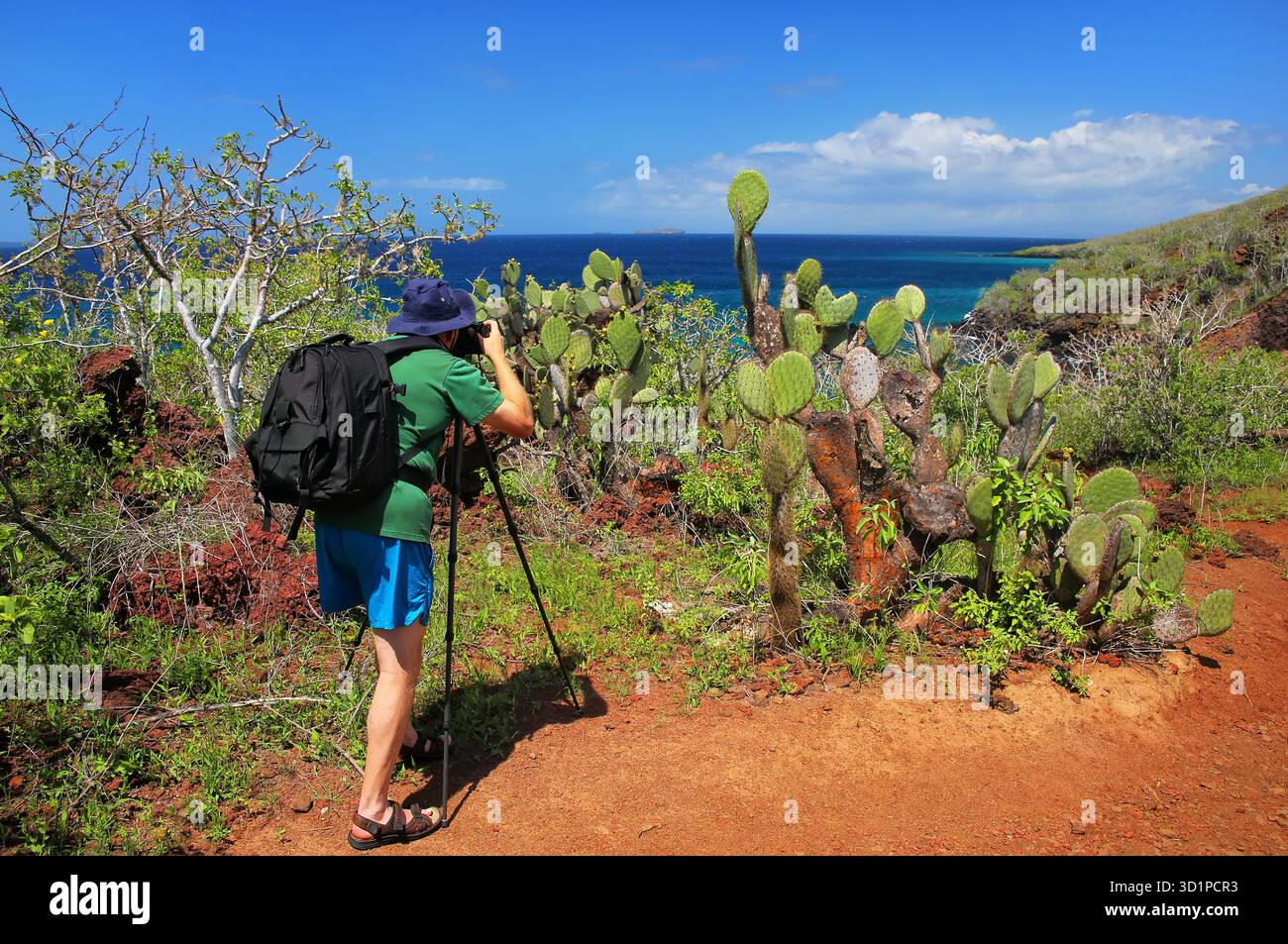 Homme photographiant la barbarie des Galapagos sur l'île de Rabida dans le parc national des Galapagos, Équateur Banque D'Images