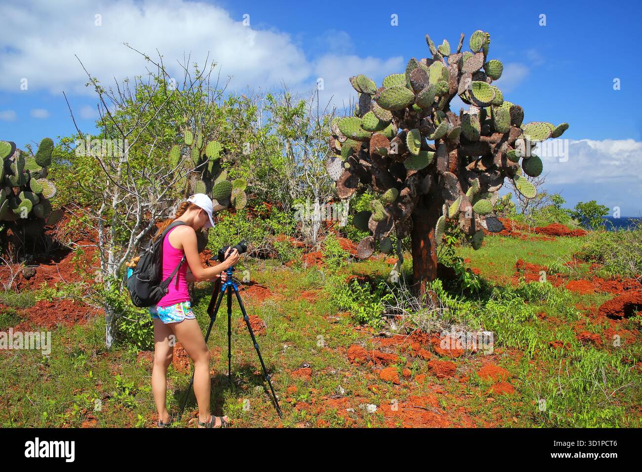 GalapagosWoman photographiant la barbarie sur l'île de Rabida dans le parc national des Galapagos, Équateur. Banque D'Images