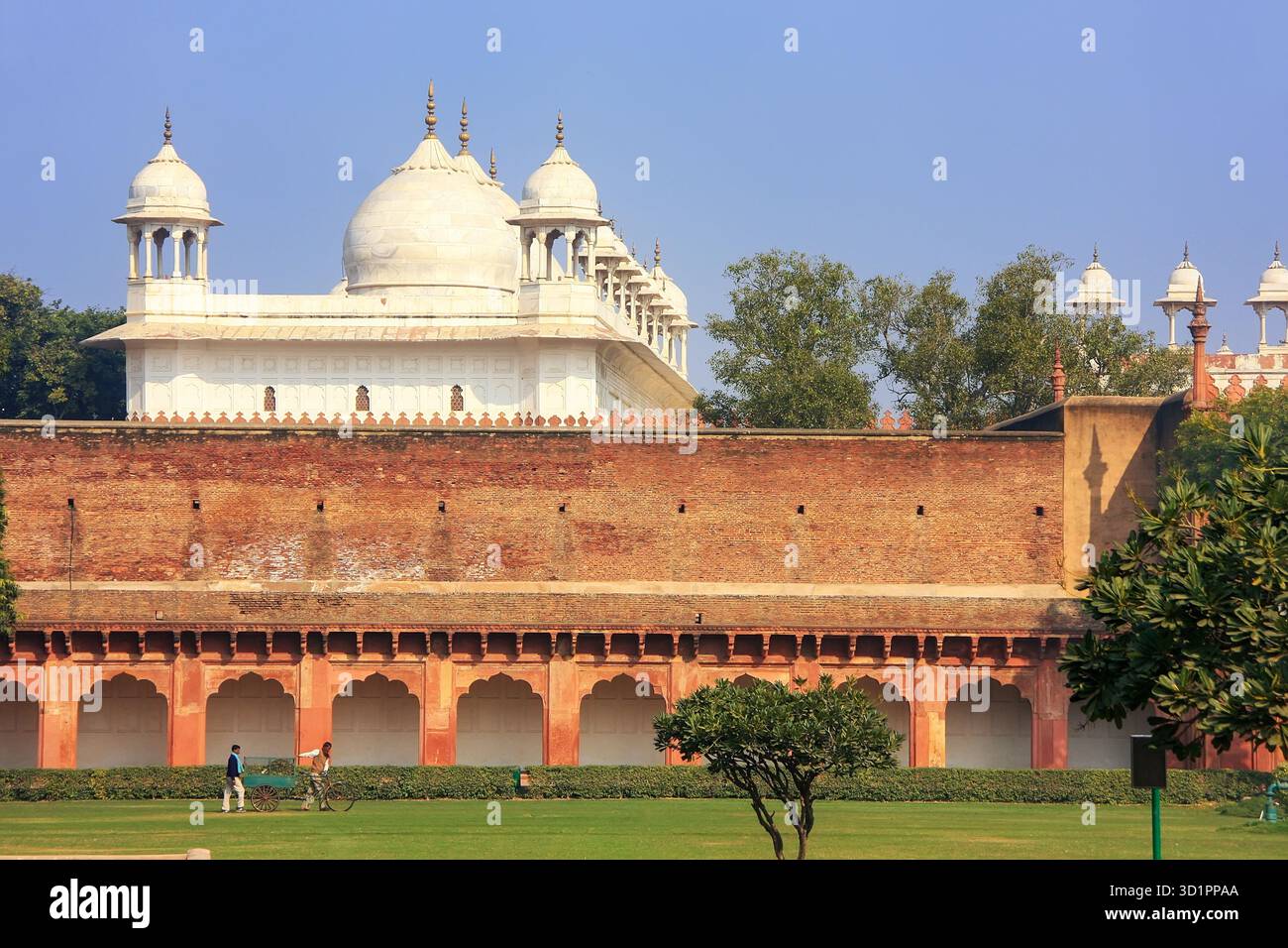 Moti Masjid (Mosquée des perles) dans le fort d'Agra, Uttar Pradesh, Inde Banque D'Images