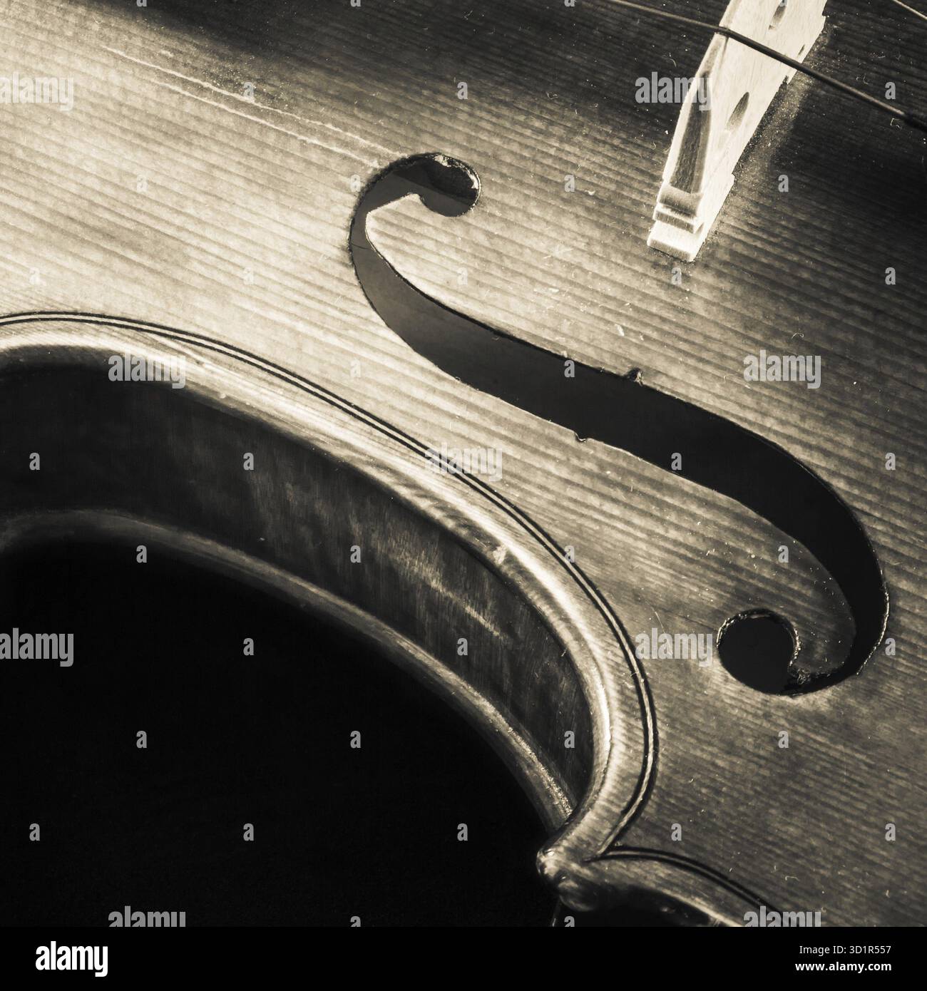 L'un d'une série de gros plans d'un violon prises en 2015 Banque D'Images