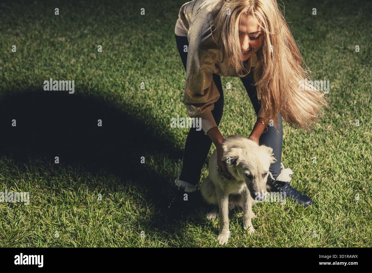 Les femmes jouent avec son chien sur l'herbe verte Banque D'Images
