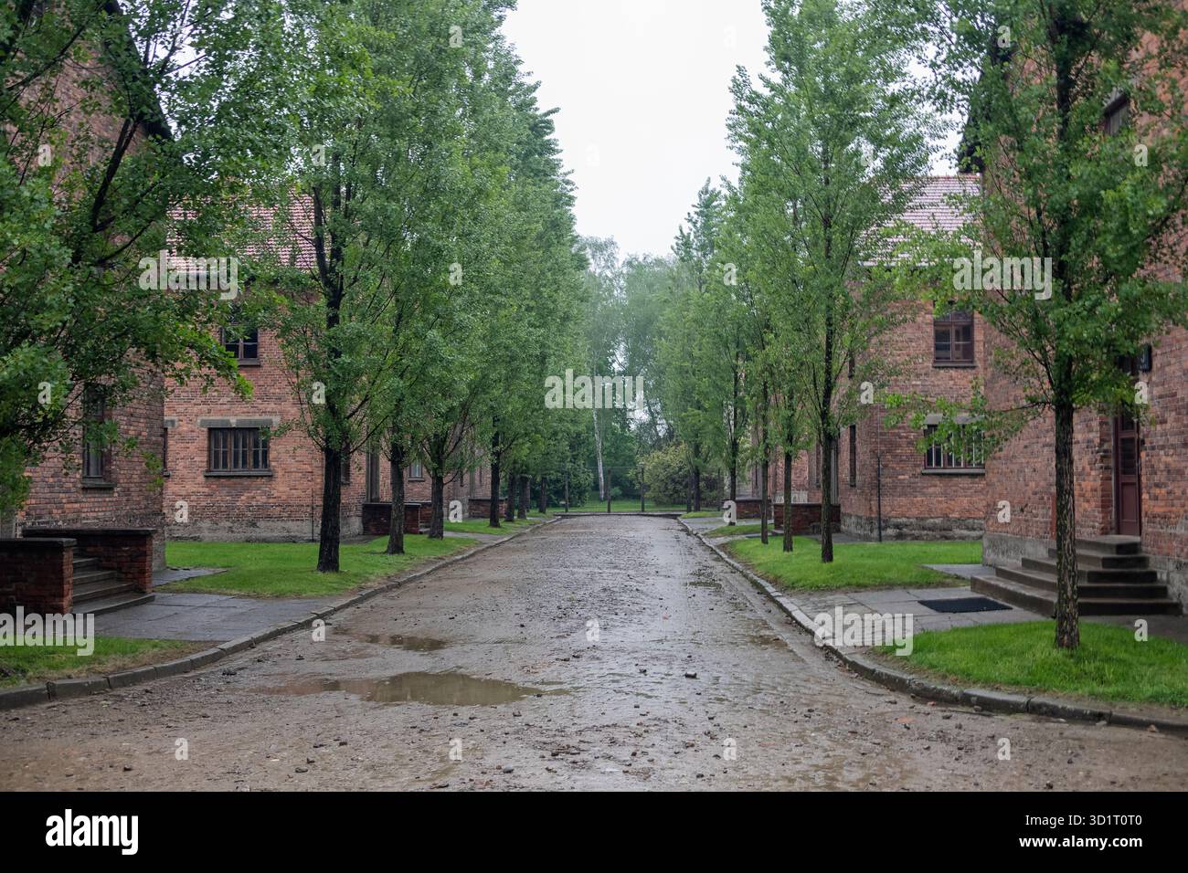 Bâtiments du camp de concentration Auschwitz à un jour de pluie Banque D'Images