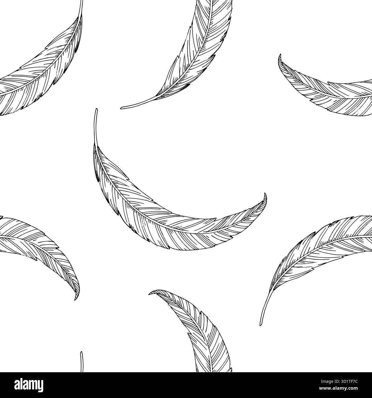 Motif sans couture de plumes. Illustration faite à la main style encre vectorielle. Pour la conception d'emballage, les cartes, la couverture, les impressions, les étiquettes de produits et le tissu. Illustration de Vecteur