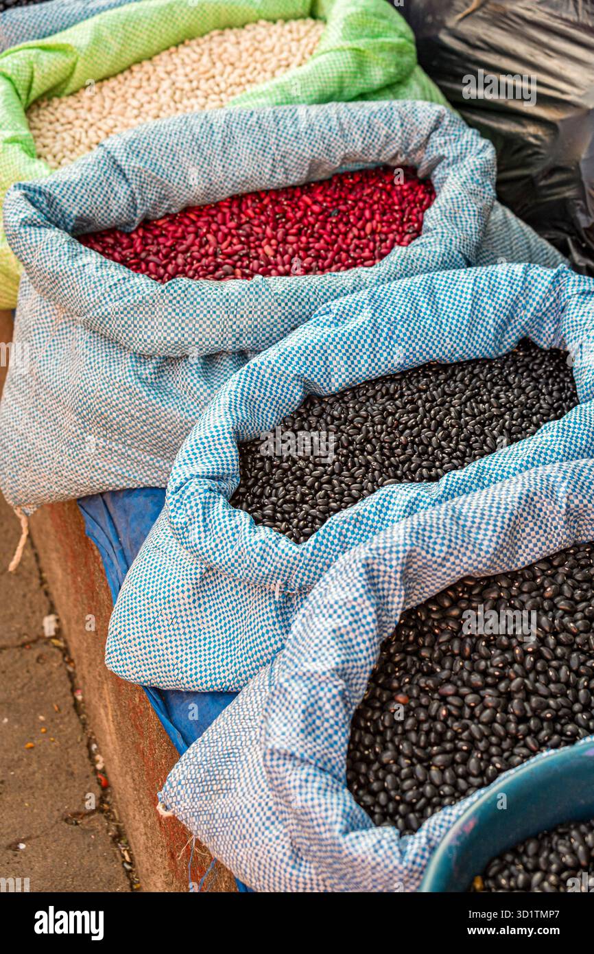 Haricots de différentes couleurs Banque D'Images