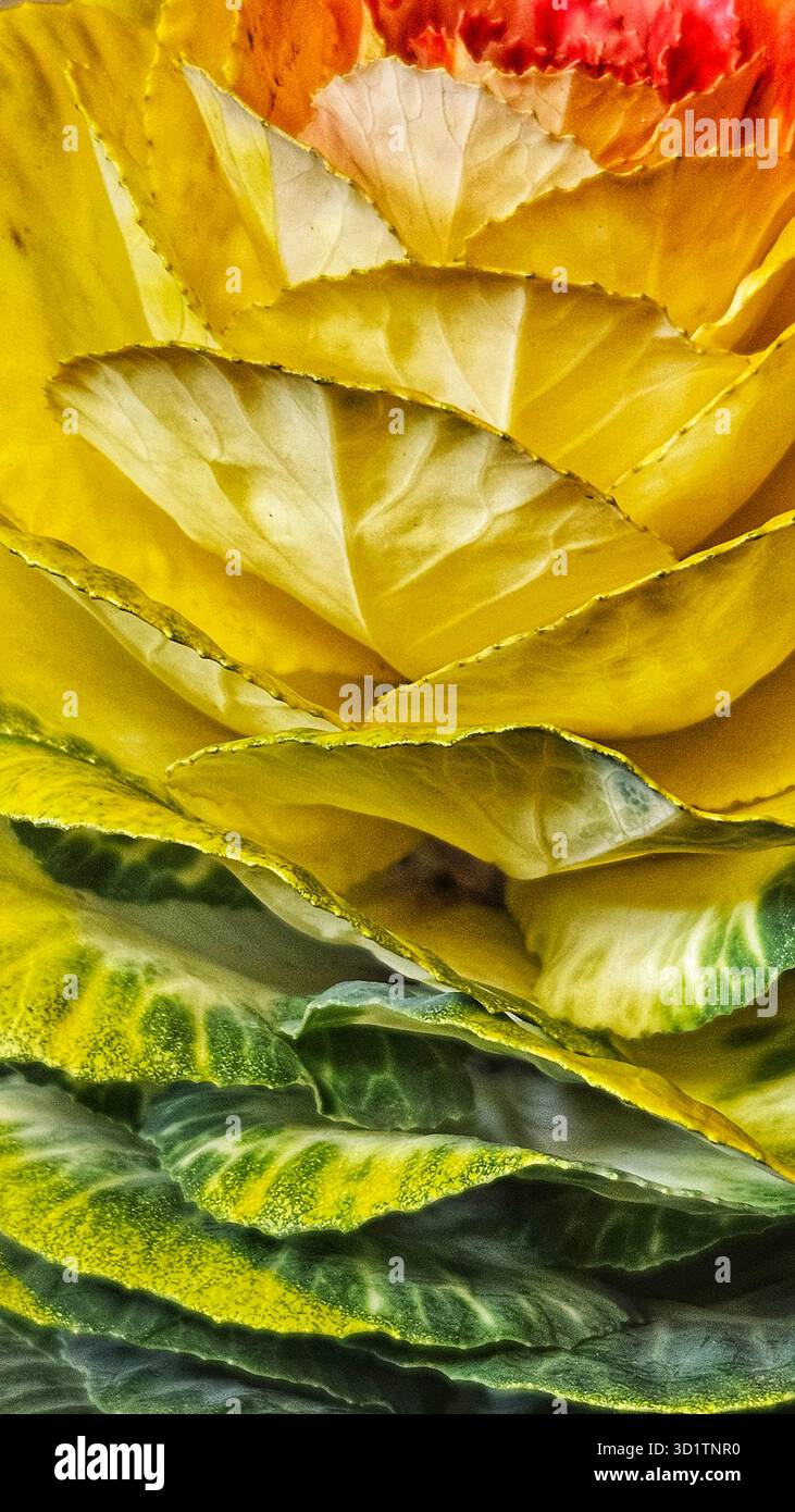 Macro abstraite de feuilles jaunes et vertes avec texture naturelle Banque D'Images