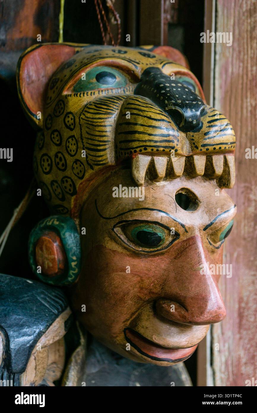 Masque Jaguar Banque D'Images