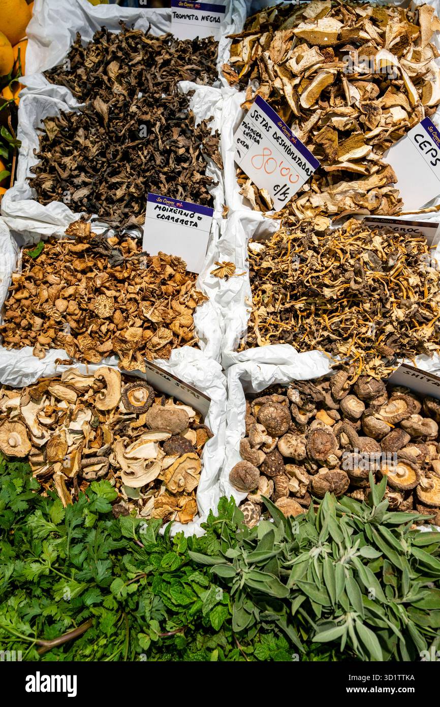 Champignons et champignons assortis Banque D'Images