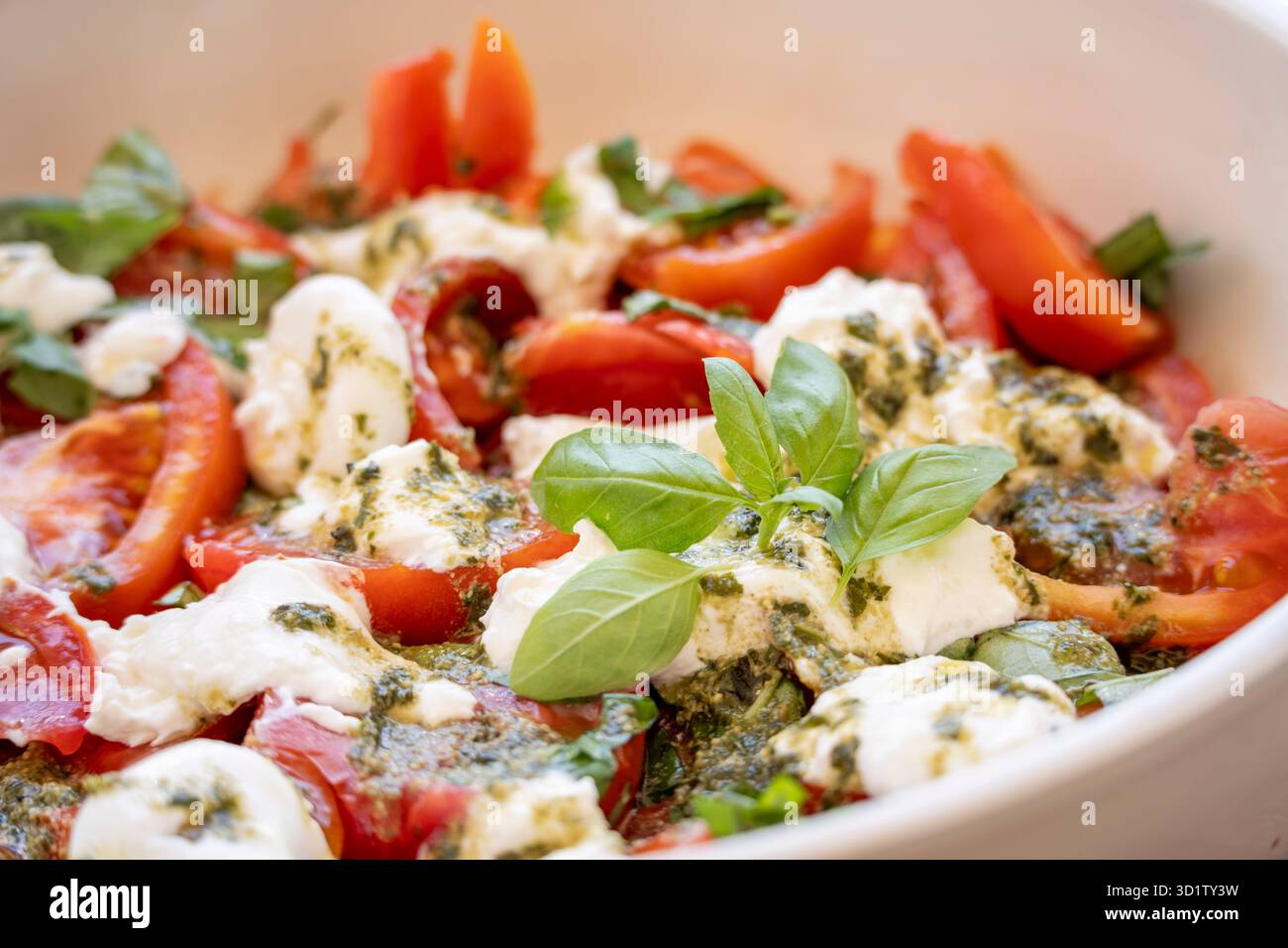 Salade de fromage Burrata avec tomates et basilic Banque D'Images