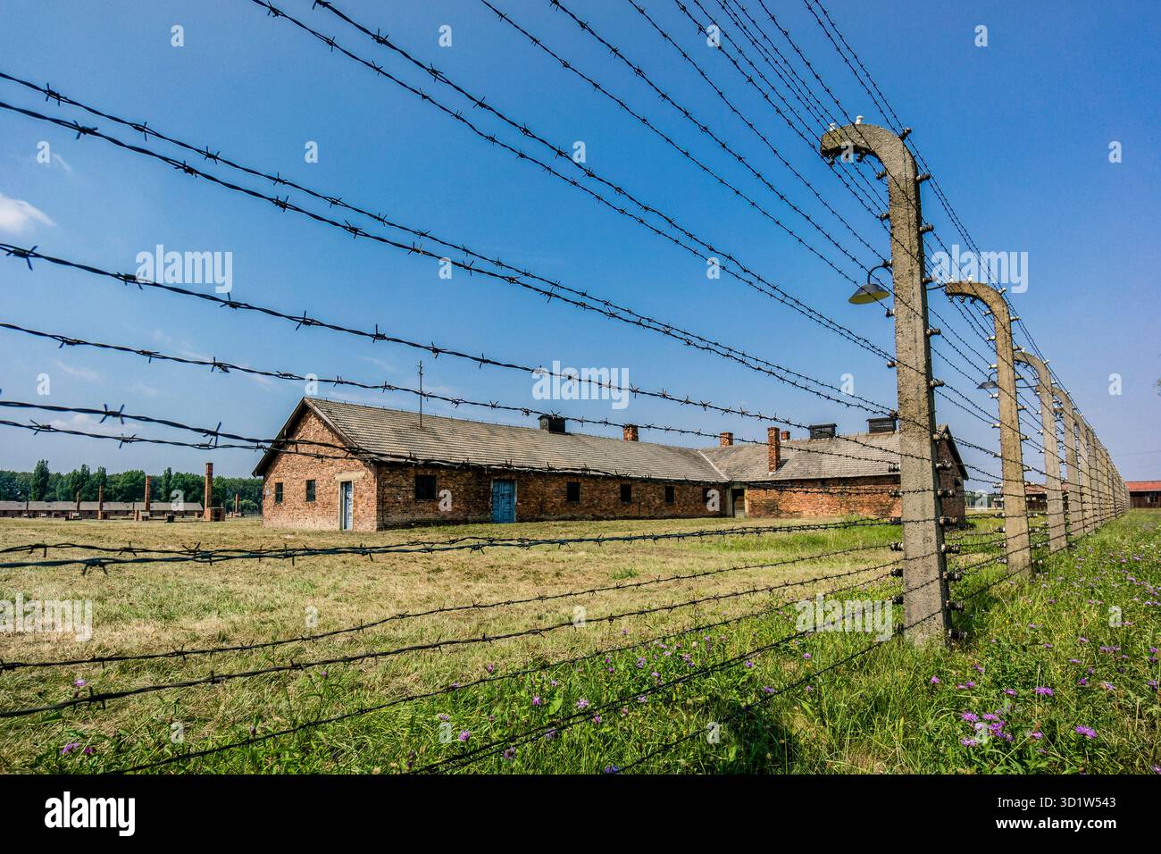 Clôture métallique, camp de concentration d'Auschwitz-Birkenau, musée d'État, Oswiecim, Pologne, europe de l'est Banque D'Images