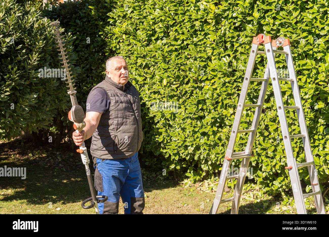 Un homme mûr tenant un taille-haie électrique devant une haie verte dans un jardin. Banque D'Images