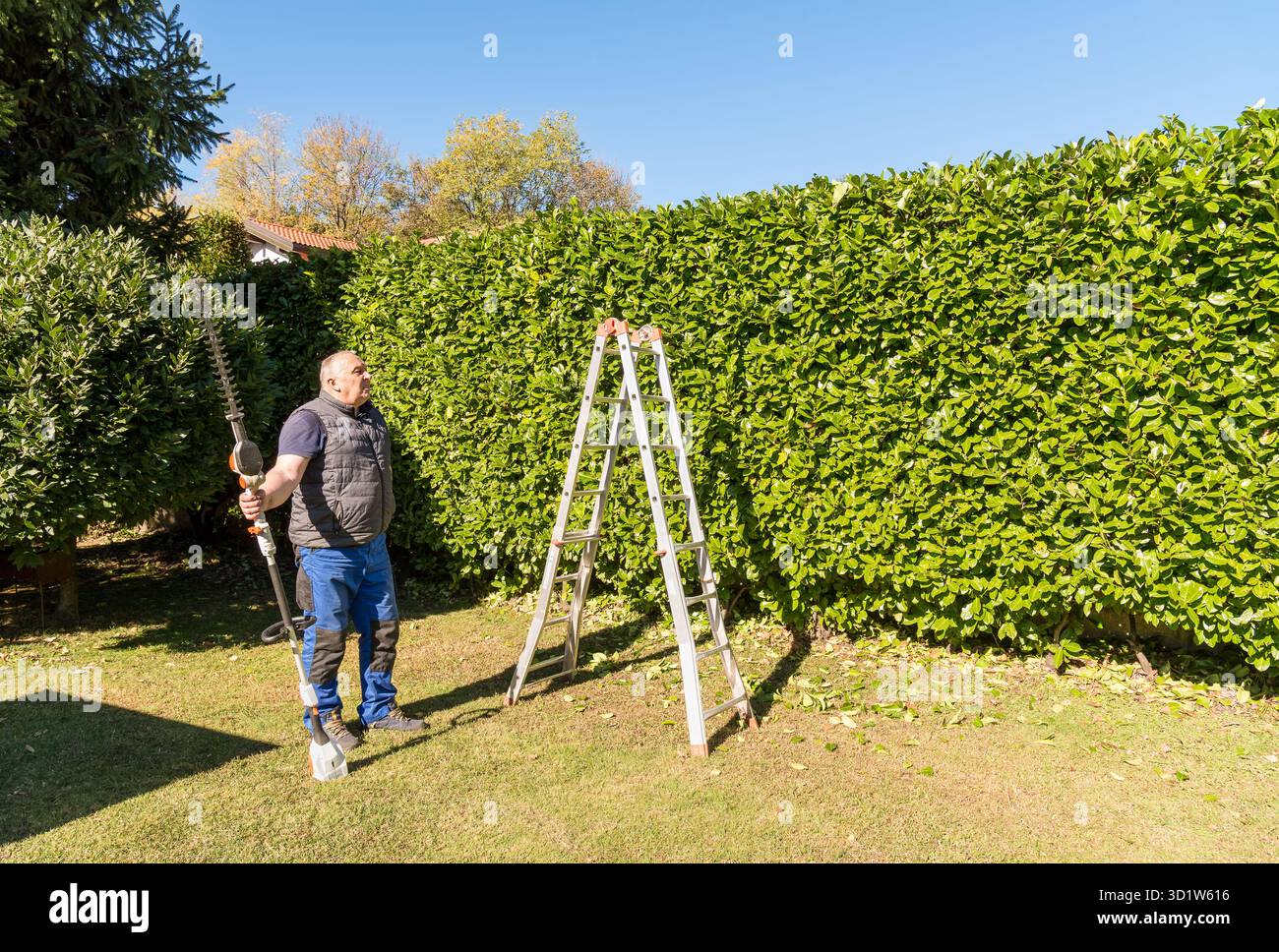 Un homme mûr tenant un taille-haie électrique devant une haie verte dans un jardin. Banque D'Images