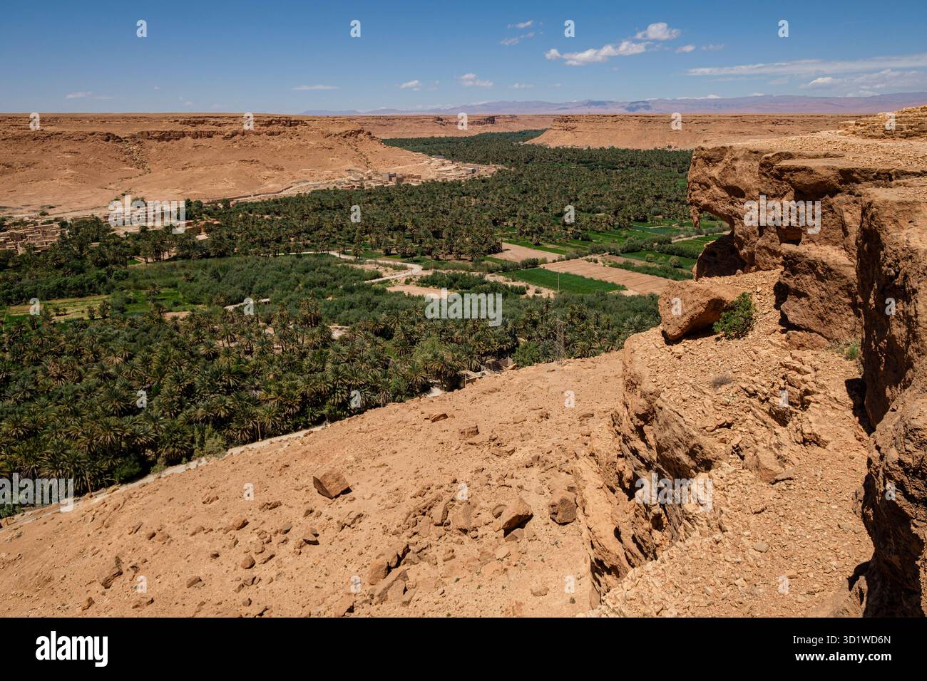 Palmeraie de Tafilalet, vallée de la rivière Ziz, Maroc, Afrique Banque D'Images