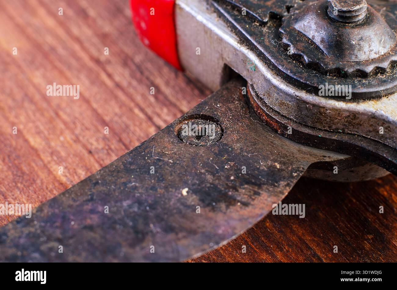 Photo macro d'une vis cruciforme rouillée, mettant en évidence le métal corrodé, la surface usée et la texture détaillée. Convient pour les outils, la réparation et industria Banque D'Images