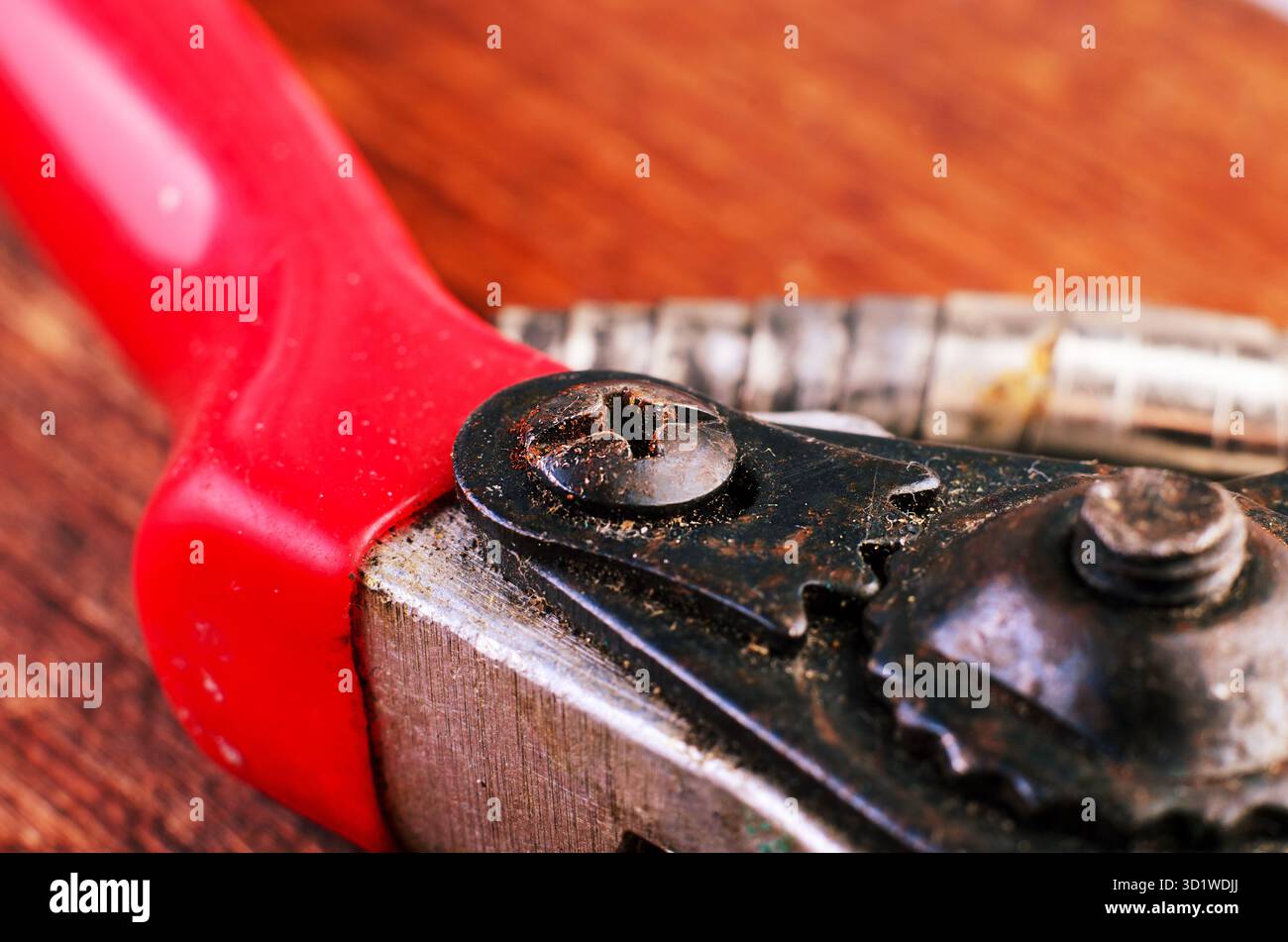 Gros plan macro photo d'une vis sur de vieilles cisailles rouillées, mettant en évidence la rouille, le métal corrodé et la surface texturée. Idéal pour le jardinage, les outils, et Banque D'Images