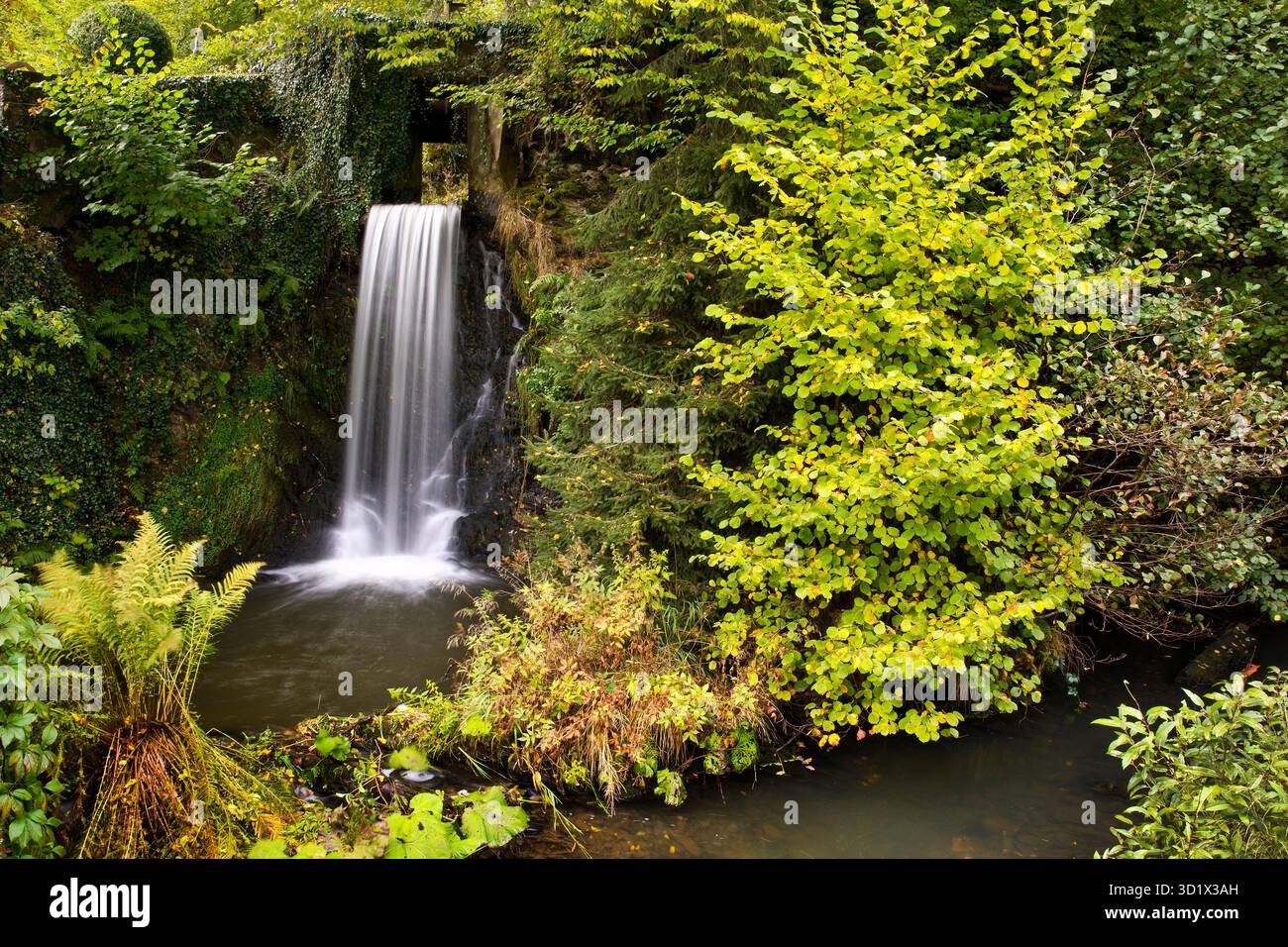 Cascade à Katzenloch dans le district de Birkenfeld, Rhénanie-Palatinat, Allemagne, Europe Banque D'Images