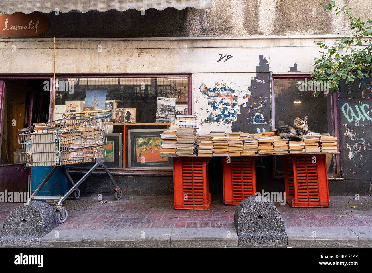 Chat repose sur des piles de livres d'occasion exposés sur une table de rue à Beyoğlu, Istanbul, Türkiye. Banque D'Images