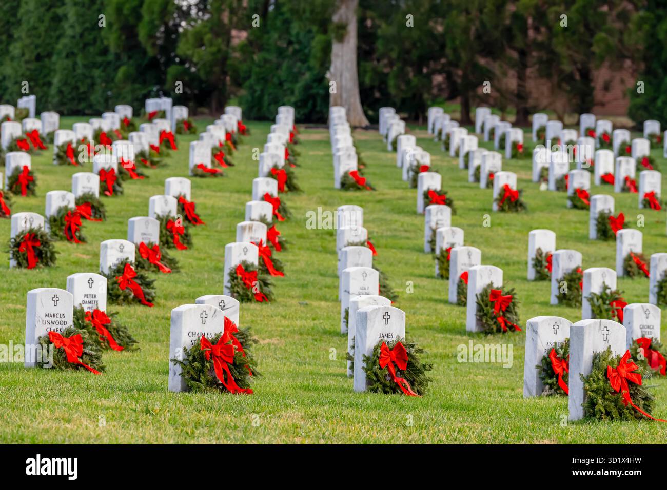Vue calme sur un cimetière militaire américain célébrant la fierté nationale Banque D'Images