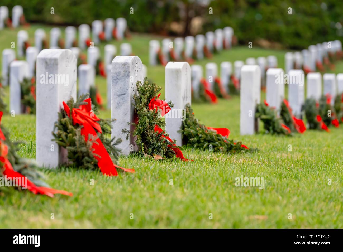 Vue calme sur un cimetière militaire américain célébrant la fierté nationale Banque D'Images