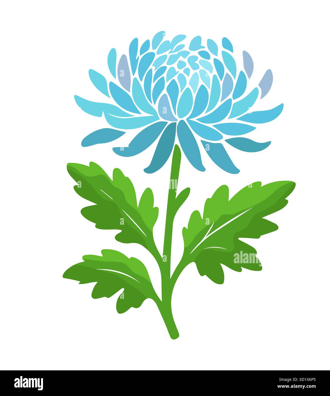 Objet de fleur de chrysanthème. Dessiné à la main. Pas ai, illustration vectorielle Illustration de Vecteur