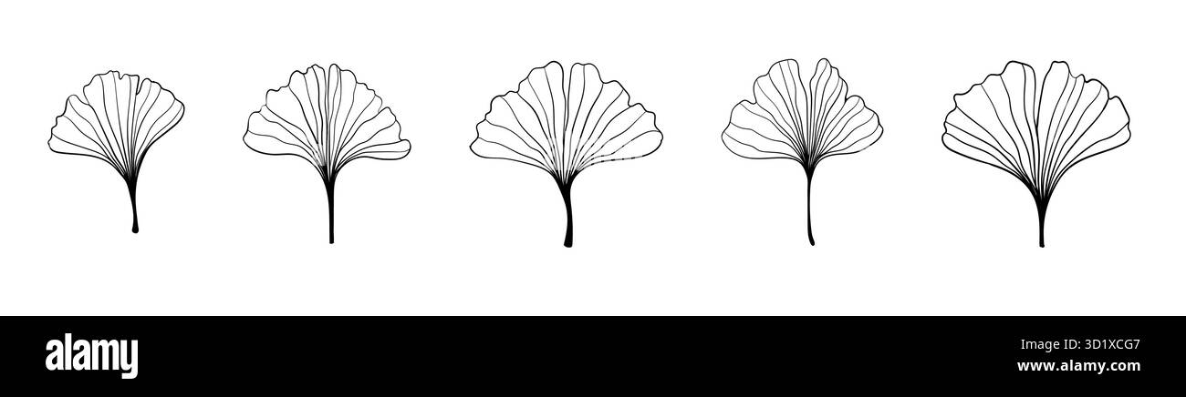 Contour noir Ginkgo biloba dans le style sketch. Isolé sur fond blanc. Illustration d'esquisse. Art abstrait nature . Dessin manuel vectoriel Line art Illustration de Vecteur