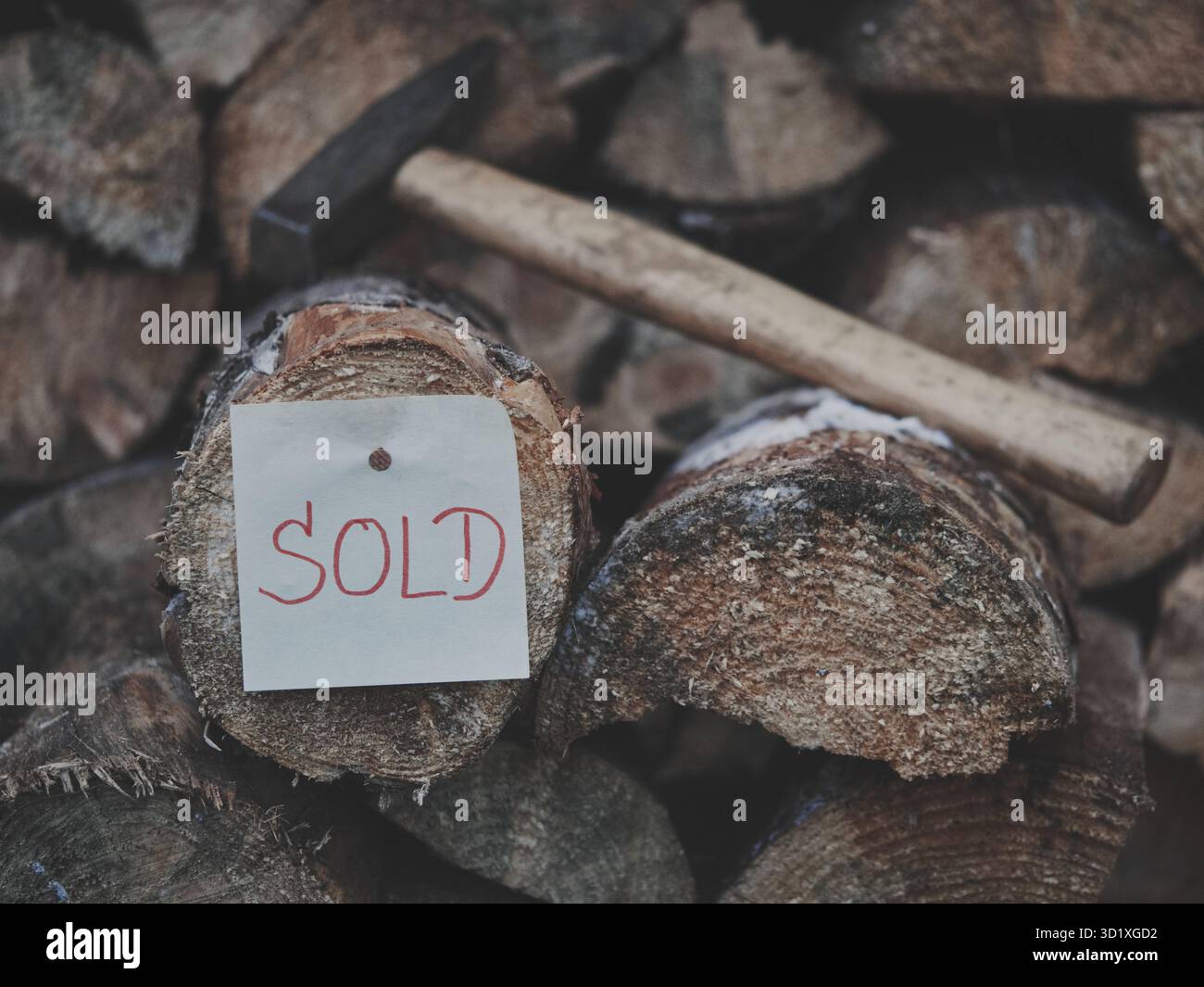Étape en bois de chauffage à double couche avec étiquette rouge VENDUE clouée sur, marteau entièrement visible mais légèrement flou, deuxième ligne de bois de chauffage dans un ton bleu mat doux, RU Banque D'Images