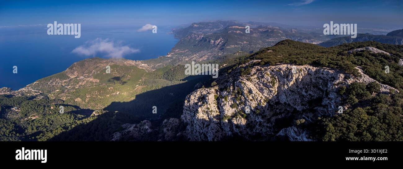 Forêt de chênes indigène de la chaîne de montagnes Tramuntana Banque D'Images