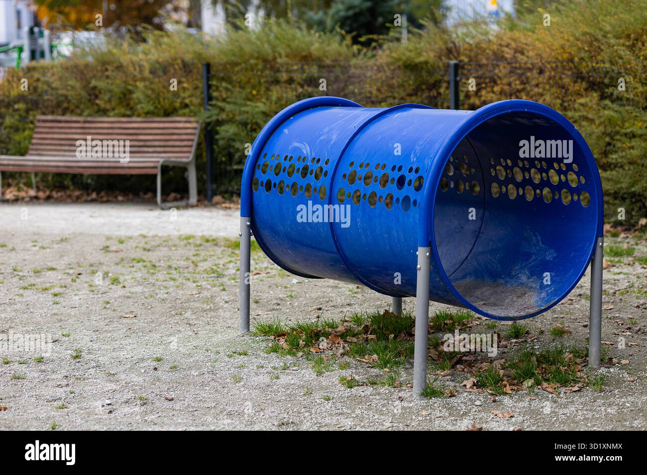 Aire de jeux de dressage de chien en plein air avec équipement de tunnel d'agilité bleu dans le parc public le jour d'automne. Exercice pour animaux de compagnie, activité canine et entraînement à l'obéissance Banque D'Images