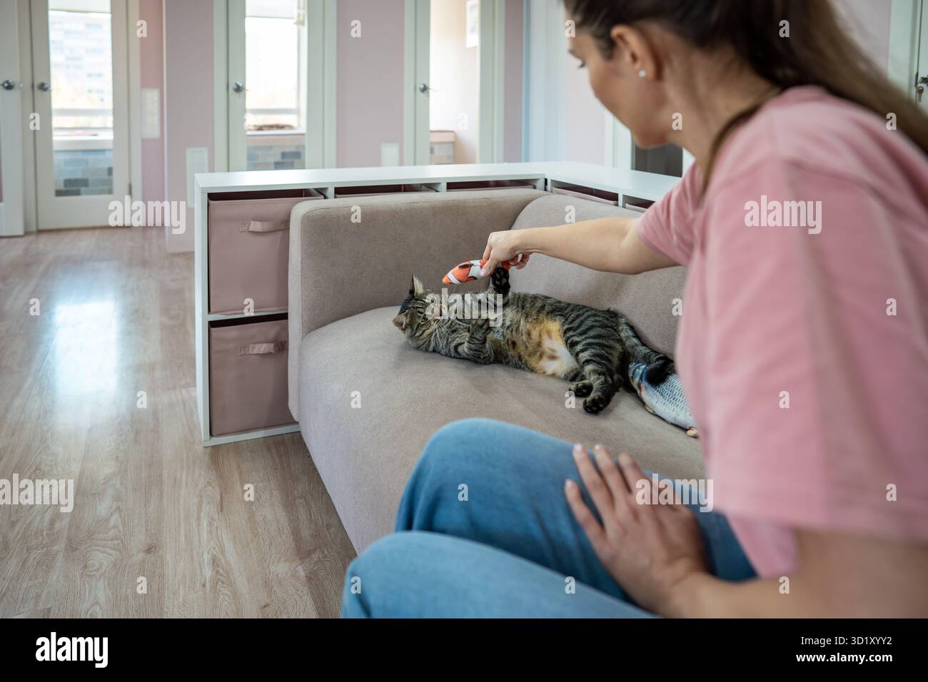 Des moments ludiques pour les chats dans un hôtel pour animaux de compagnie avec animateur. Jeu sur le canapé avec gardienne féminine, service pour animaux de compagnie Banque D'Images