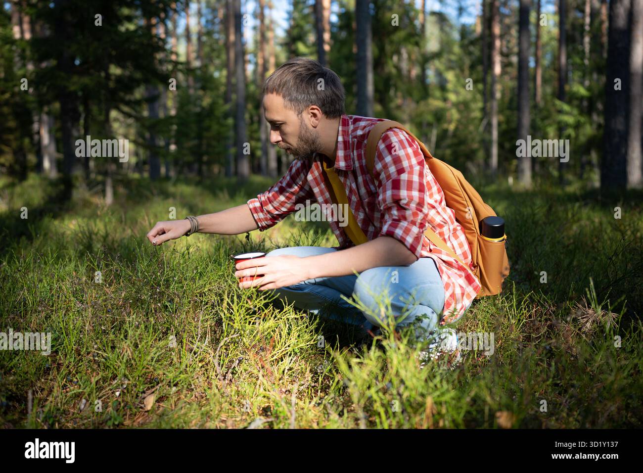 Homme détendu profiter du temps dans la nature cueillant des baies dans la forêt dans la tasse rouge. Soulager le stress à l'air frais Banque D'Images