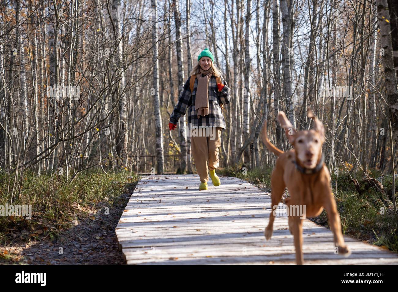 Femme heureuse courant avec un chien sur un chemin en bois sur un sentier écologique de la nature dans le parc forestier naturel scandinave Banque D'Images