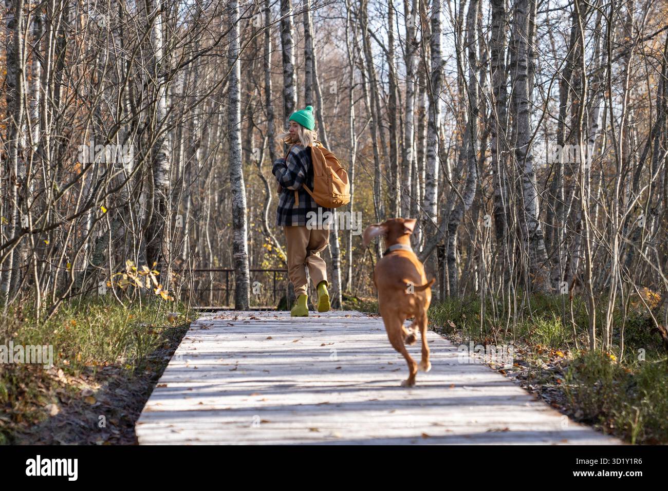 Femme ludique qui court avec le chien profiter de la nature sur le sentier en bois éco dans le parc forestier naturel scandinave Banque D'Images