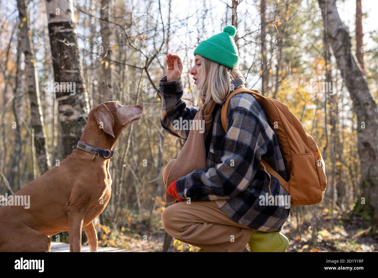 Femme propriétaire d'animal de compagnie de formation chien enseignant la commande vocale tenant la nourriture dans la main assis près dans le parc. Banque D'Images