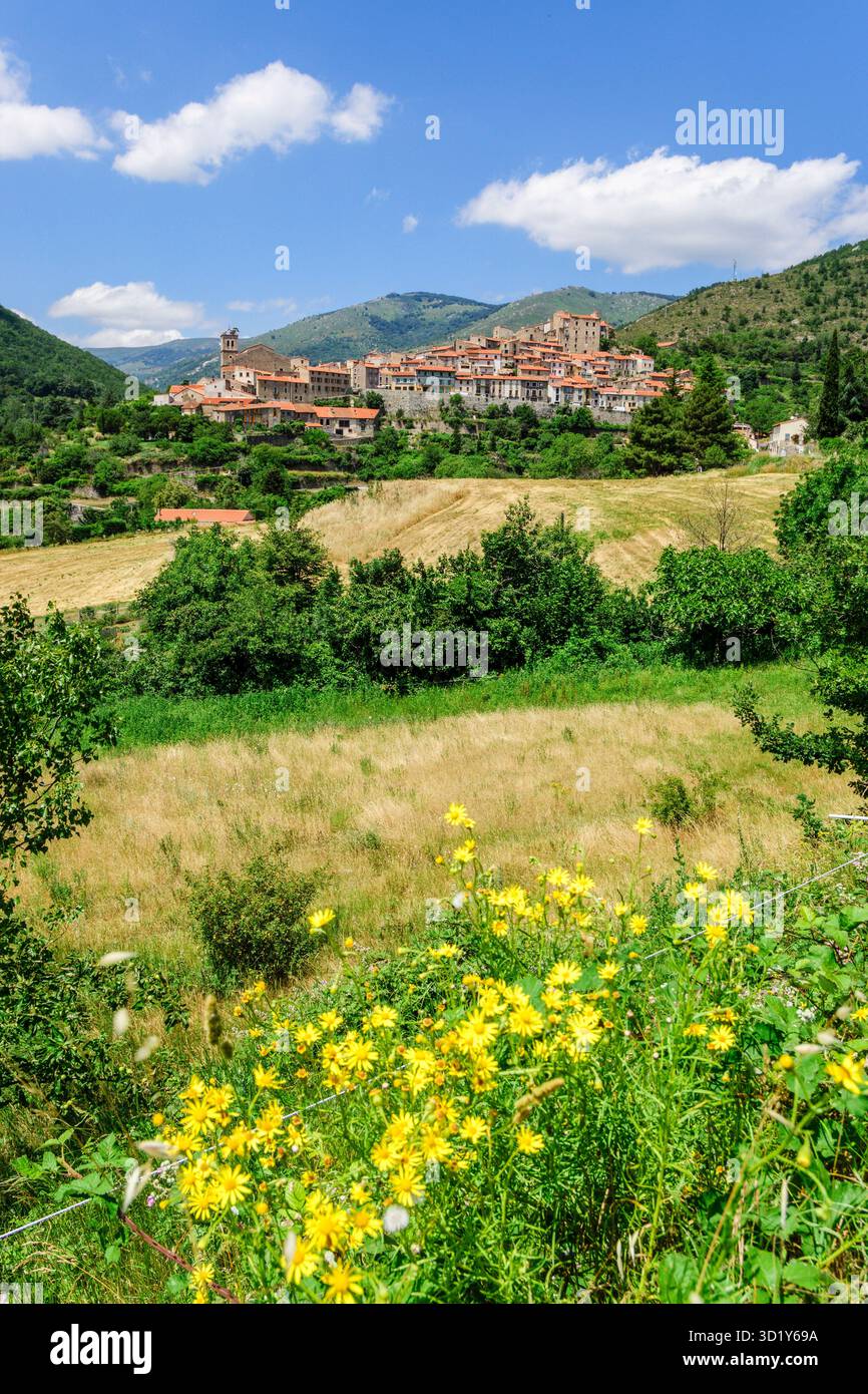 Mosset, déclaré l'un des plus beaux villages de France, Conflent, Roussillon, Pyrénées Orientales, France, Europe Banque D'Images