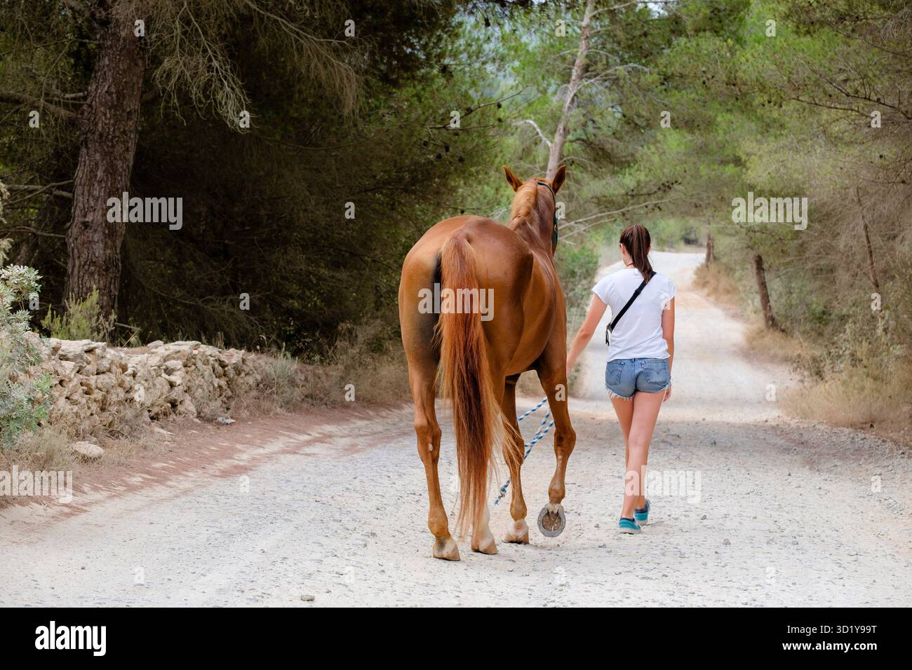 Itinéraires d'équitation Banque D'Images