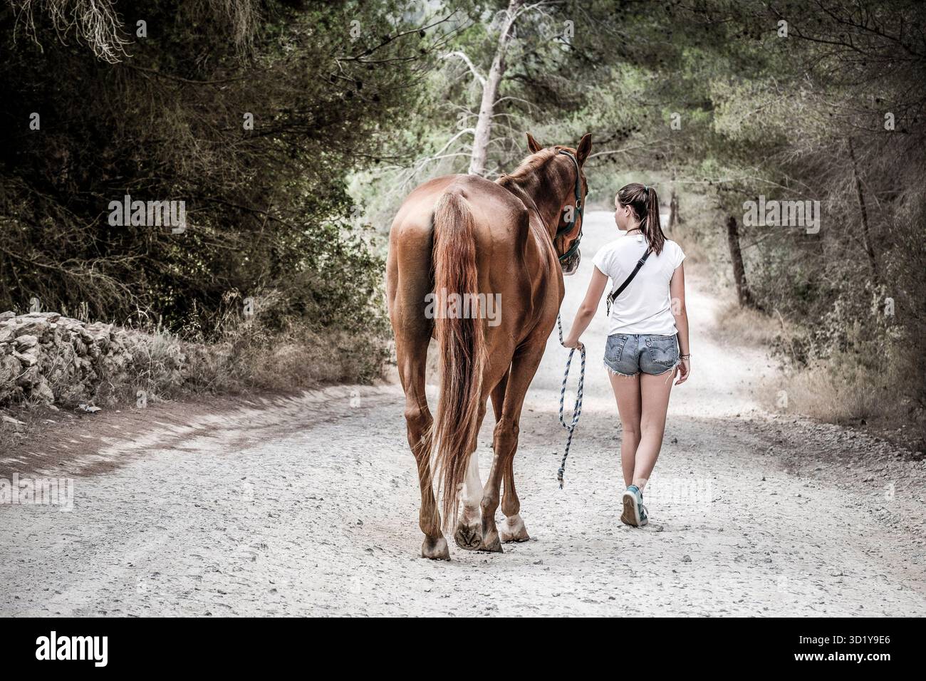 Itinéraires d'équitation Banque D'Images