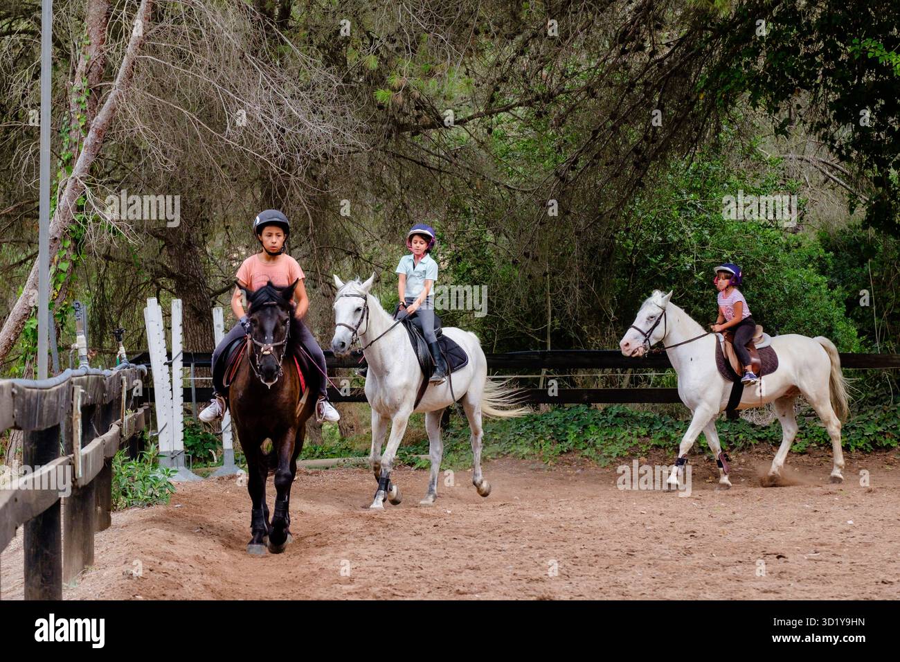 Itinéraires d'équitation Banque D'Images