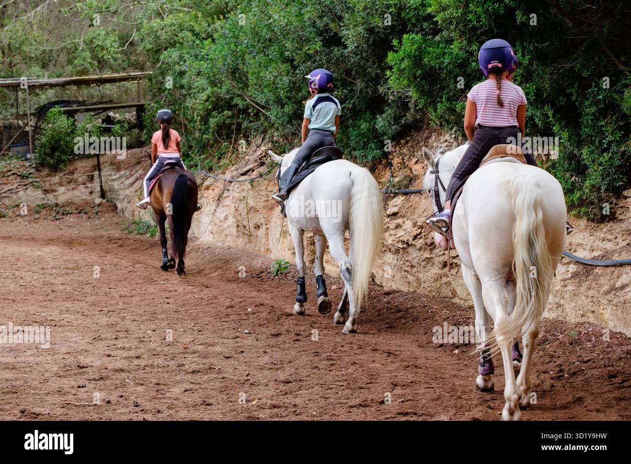 Itinéraires d'équitation Banque D'Images