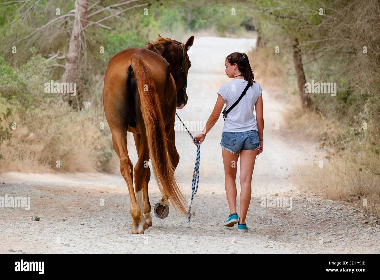 Itinéraires d'équitation Banque D'Images