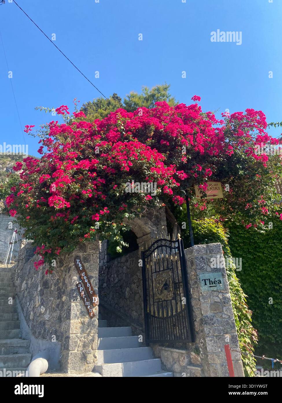 Grèce Corfou vacances 2025 - Image de stock capturée avec un smartphone