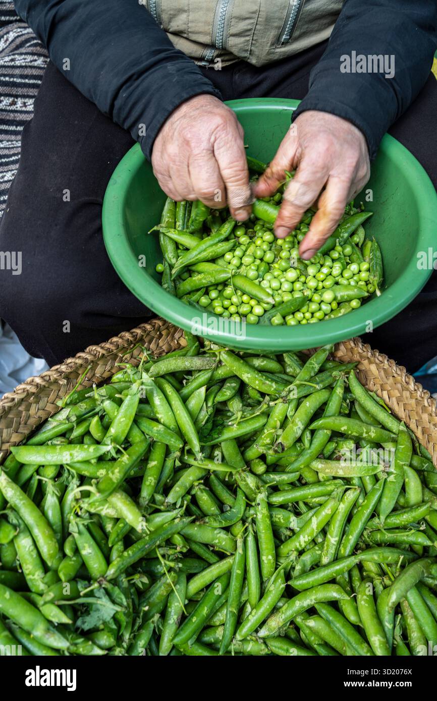 Mains d'un homme épluchant des pois dans le souk Banque D'Images