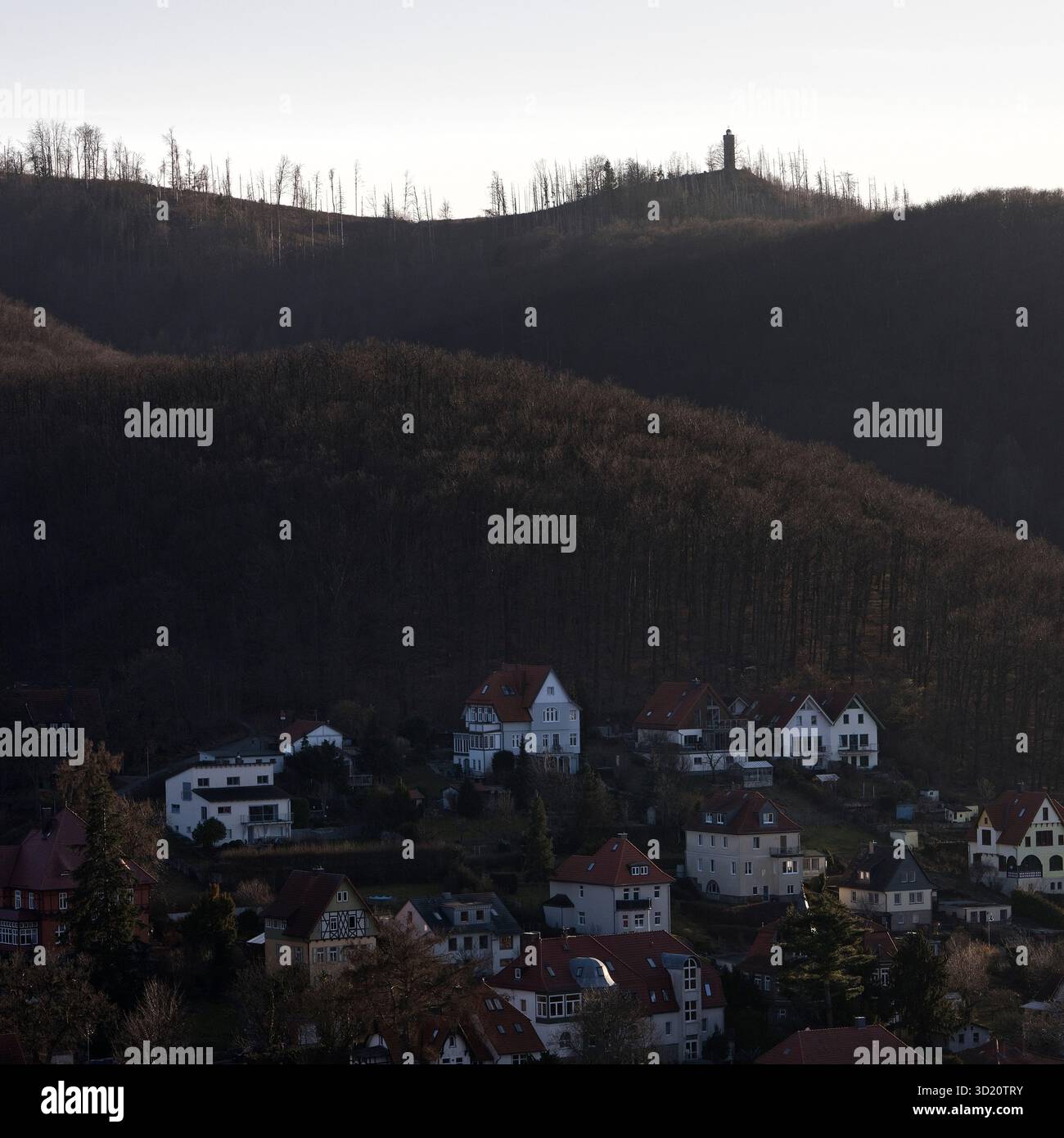 Vue depuis le château de Wernigerode du paysage de chaîne de montagnes basses des montagnes du Harz avec le Kaiserturm, Saxe-Anhalt, Germa Banque D'Images