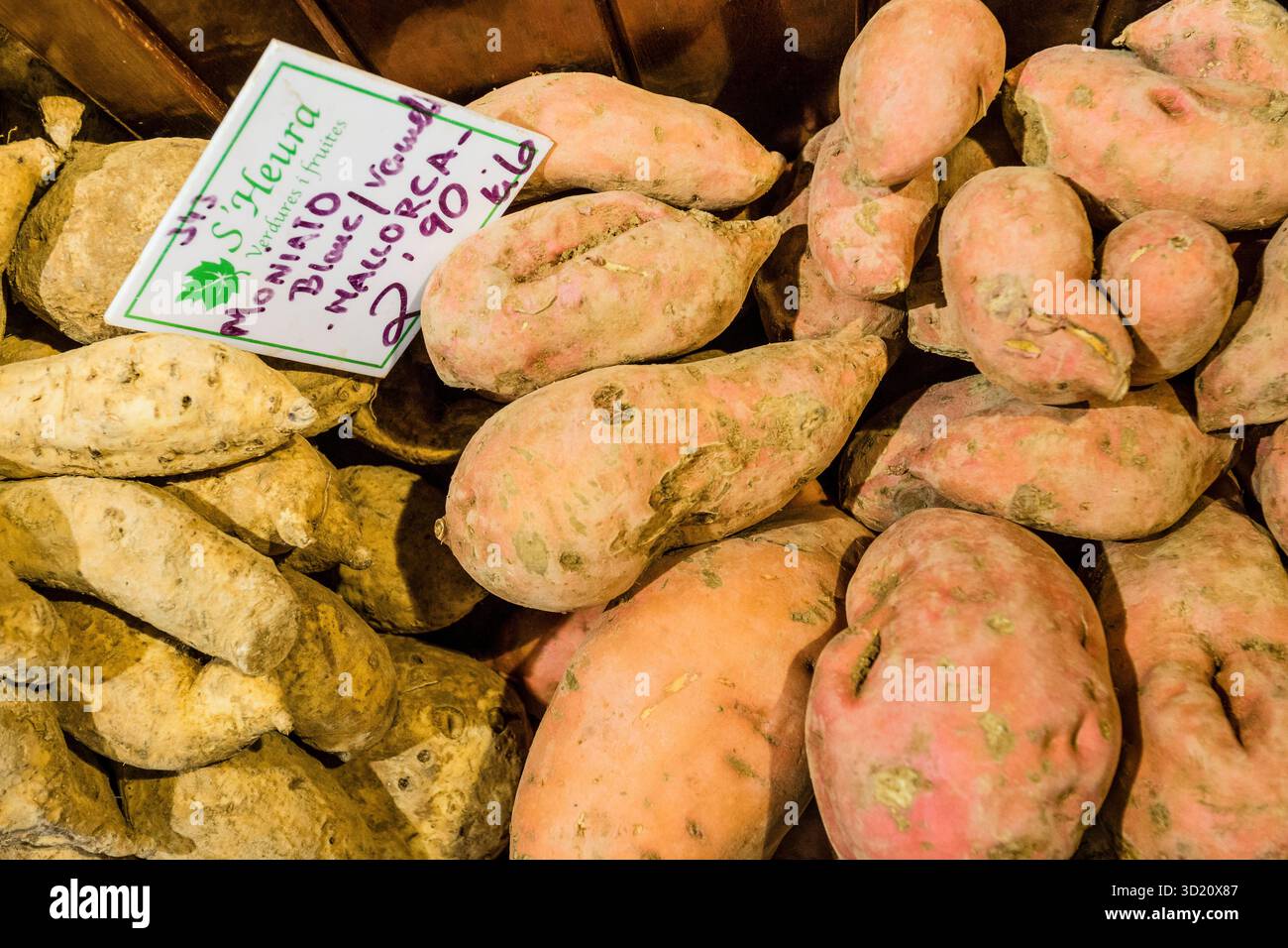 Patate douce majorquine typique, Mercat l'Olivar, Palma, Majorque, Îles Baléares, Espagne. Banque D'Images