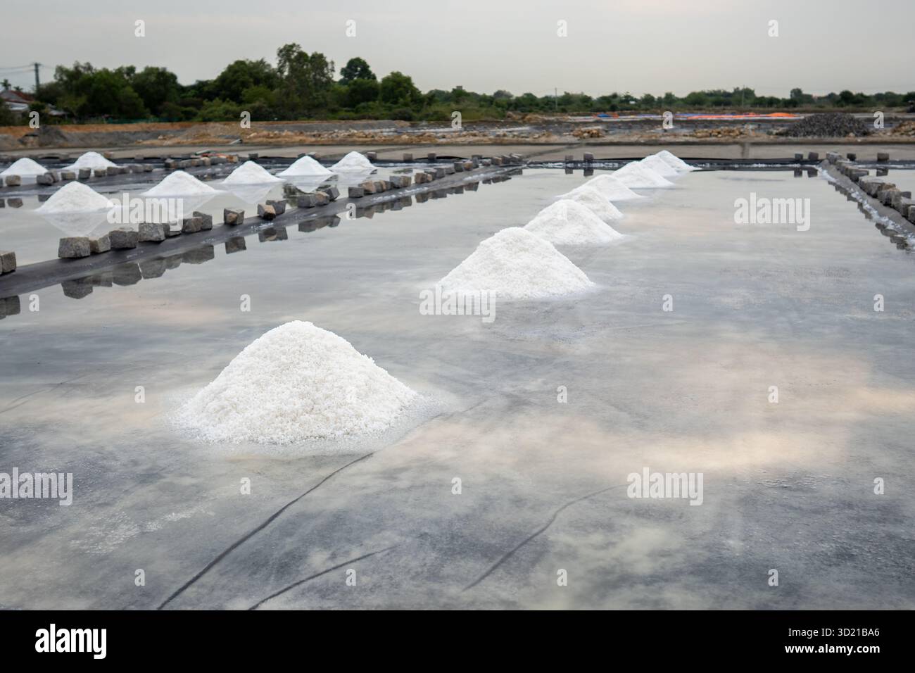 Des monticules de sel se forment dans les piscines d'évaporation près du village asiatique en utilisant le séchage naturel au soleil dans la zone rurale Banque D'Images