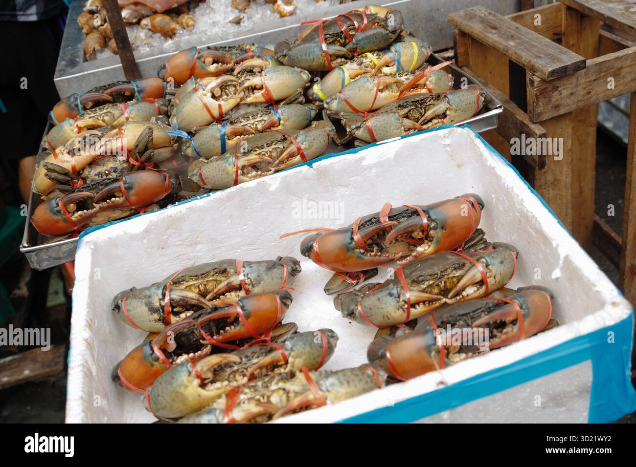 Vente de crabe frais vivant au marché de fruits de mer de luxe pour cuisiner des aliments dans le restaurant. Banque D'Images