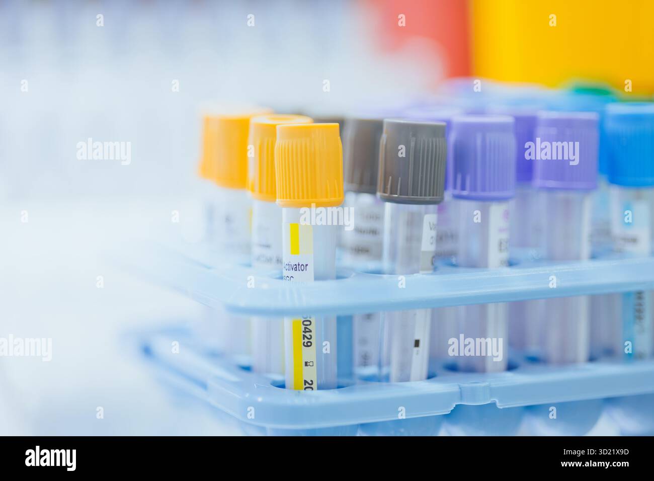 Vacutainer, tubes de prélèvement sanguin pour hôpital, soins de santé, laboratoire de science de médecine pour le fond Banque D'Images