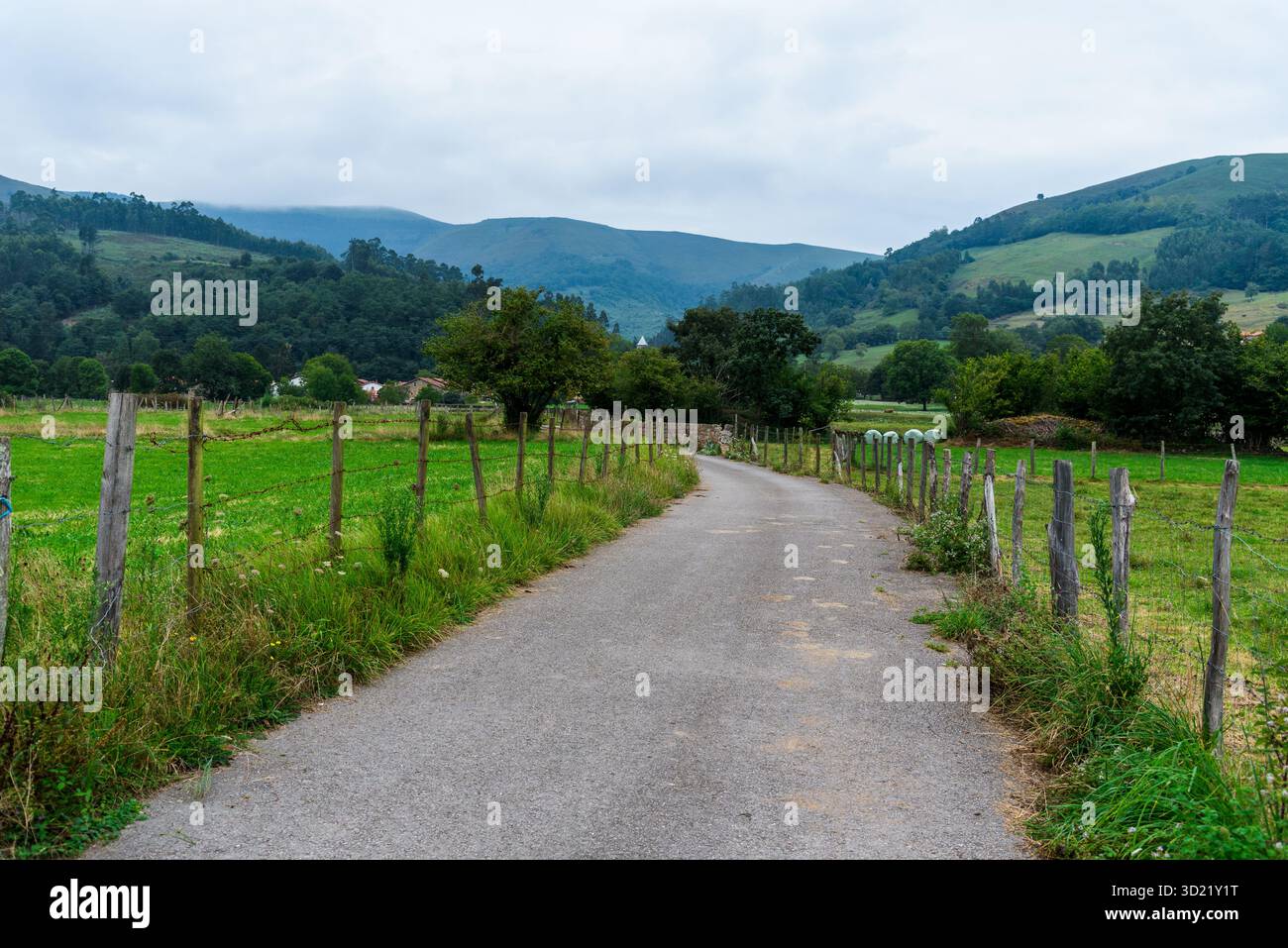 Vue panoramique sur la vallée de la rivière Saja en Cantabrie, Espagne, avec des collines verdoyantes et une route de campagne tranquille par temps nuageux Banque D'Images