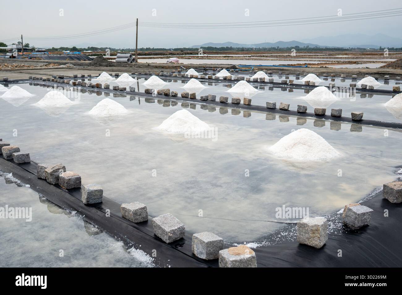 Des monticules de sel se forment dans les piscines d'évaporation près du village asiatique en utilisant le séchage naturel au soleil dans la zone rurale Banque D'Images