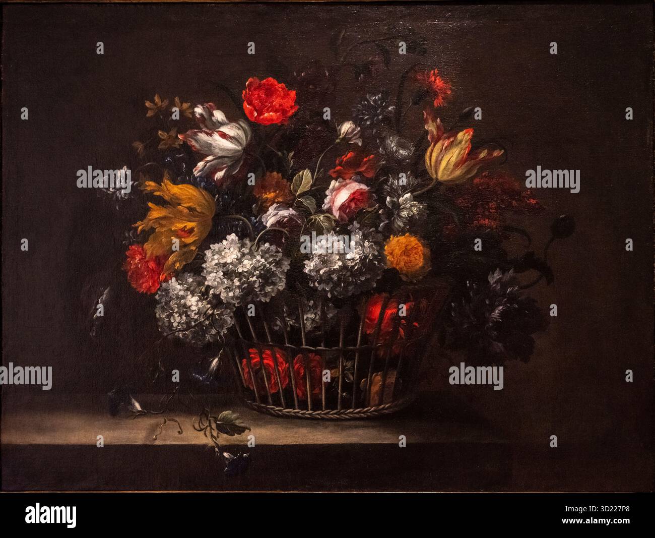 Jean Baptiste Monnoyer, panier de fleurs, XVIIe siècle, huile sur toile, Musée Carmen Thyssen Andorre, Escaldes-Engordany, Princi Banque D'Images