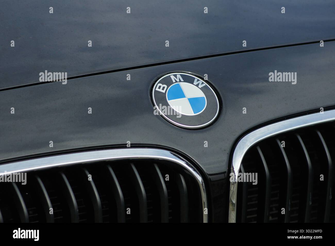 Logo BMW brillant sur le capot d'une voiture de luxe Banque D'Images