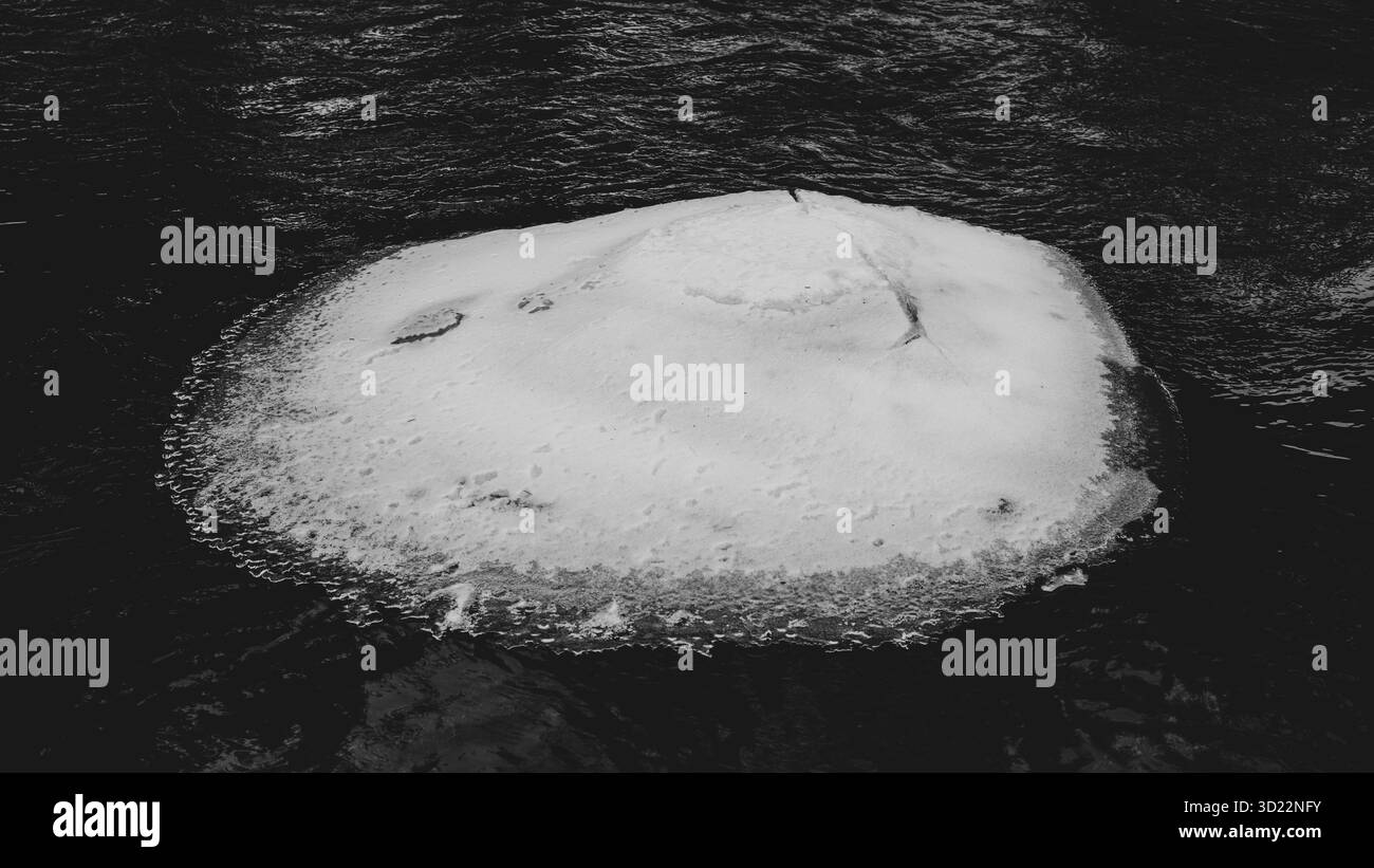 Une scène hivernale sereine d'une section gelée de la rivière Jizerka. La surface glacée contraste avec l'eau qui coule, mettant en valeur la beauté de la nature pendant les mois froids dans le paysage tchèque. Banque D'Images